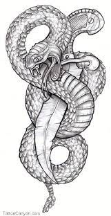 Infinity Snake Tattoo Free Download 25499 Tattoos Designs Picture 14639 Snake Tattoo Design Snake Sketch Tattoo Design Drawings