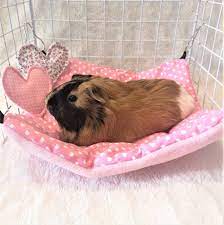 pin on guinea pig cage