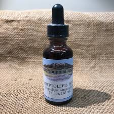 Image result for Cryptolepis