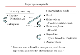 Order test, go to lab, see results! Drug Testing For Newborn Exposure To Illicit Substances In Pregnancy Pitfalls And Pearls