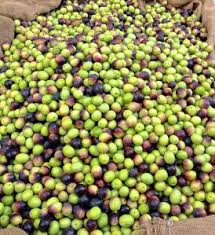 Autumn Arrives In Martina Franca Perfect Cocktails Martina Franca Extra Virgin Olive Oil