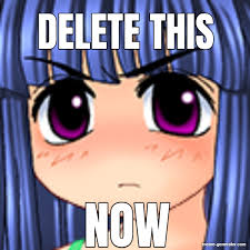 Delete This Now Meme Generator