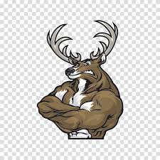 Reindeer Elk Roe Deer Muscle Reindeer Transparent Background Png Clipart Hiclipart The best selection of royalty free cartoon reindeer head vector art, graphics and stock illustrations. reindeer elk roe deer muscle reindeer