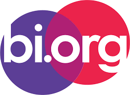 What is business intelligence (bi)? Bi Characters Bi Org