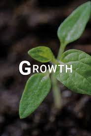 Its total assets grew by 7.95% over the same period. Malaysia Property Developer Suntrack Development