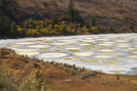 Osoyoos (/ ɒ ˈ s uː juː s /, historically / ˈ s uː juː s /) is the southernmost town in the okanagan valley in british columbia between penticton and omak.the town is 3.6 kilometres (2.2 mi) north of the united states border with washington state and is adjacent to the osoyoos indian reserve. Spotted Lake Osoyoos Bc Canada Stock Image Image Of Geology Columbia 154705617