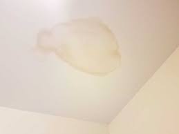 Remember, mold can develop anywhere in a damp or humid environment. Damp In The Home Causes Symptoms And Treatments Saga