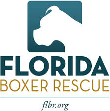 Maybe you would like to learn more about one of these? Pets For Adoption At Florida Boxer Rescue Inc In Crestview Fl Petfinder