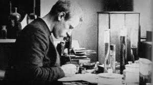 Последние твиты от nansξn (@nansen_ai). Fridtjof Nansen A Man Of Action And Vision Youtube