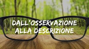 Dall Osservazione Alla Descrizione L Importanza Delle Descrizioni Nei Testi Narrativi Libroza