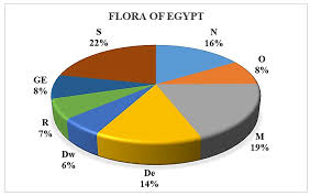Image result for Plicosepalus amplexicaulis