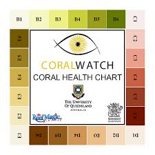 Coral Health Chart