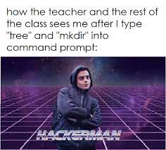 View entire discussion 6 comments. Echo Hackerman Meme Txt Programmerhumor