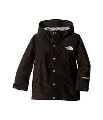 The North Face Kids Mountain Gore Tex Jacket Little Kids Big Kids North Face Kids Kids Coats Gore Tex Jacket