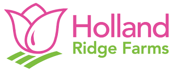 Then create your own bouquet or flower arrangement! Holland Ridge Farms Nj S Premier Pick Your Own Flower Farm
