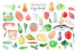 Organic Food Watercolor Clipart Set Organic Recipes Clip Art Salmon Steak