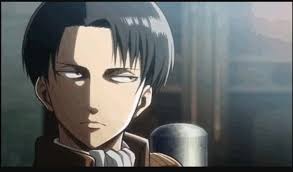 As You Wish....Sir... (Levi x Reader!)