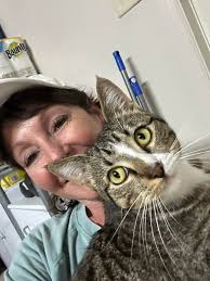 Is anyone looking for a lost kitten in the Calumet Grove area?