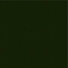 Image result for Medium Green 2004 Topkick