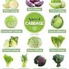 White bean and cabbage soup comfort food. 1