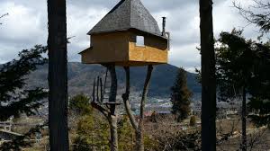 Japanese teahouses grow in trees with architect terunobu fujimori. Teehaus Takasugi An Von Terunobu Fujimori Trendomat Com