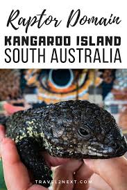 Raptor Domain Kangaroo Island South Australia Australian Travel