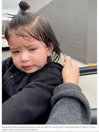 Sean Bolt JP, BA, MProfStud, FCILT.