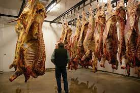 About 80% of couples will get pregnant after 3 months of trying, and about 90% will be. Meat Hanging Wikipedia