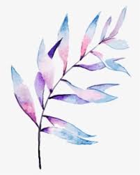 We did not find results for: Watercolor Leaves Png Images Free Transparent Watercolor Leaves Download Kindpng