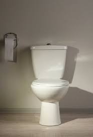 In this video, we show you the differences. Preventing Clogs In Low Flow Toilets Whipple Service Champions