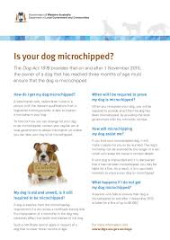 Dogs » Shire of Wagin