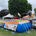 Canine Dock Jumping Championships