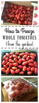 Try to squeeze out any excess air and lay flat to freeze so they take up less space and will thaw quicker. Tomato Recipes Extra Tomatoes Learn The Easy Way To Freeze Extra Tomatoes From The Garden Extra Tomatoes L With Images Frozen Veggies Freezing Vegetables Frozen Fresh