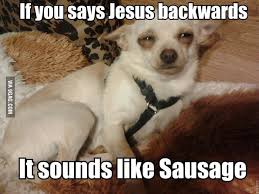 Stoner Dog Dog Memes Cute Funny Dogs Funny Dog Memes