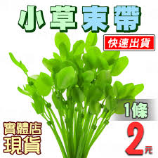 okav.com | 情色主播你的朱丽叶子无爱爱.dxn - 優惠推薦- 2025年11月| 蝦皮購物台灣