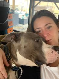 Supporting low cost animal healthcare organization