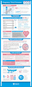 Pregnancy Third Trimester University Of Utah Health