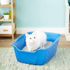 buy van ness high sides cat litter pan blue giant at chewy com free shipping and the best customer service in 2021 cat litter pan cat litter litter