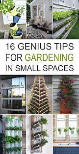 Diytotry Small Space Gardening Urban Garden Small Gardens