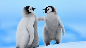 Afeelding hond afbeelding paard afbeelding leeuw stock foto achtergronden. Free Download Hd Wallpaper Met Twee Schattige Pinguins In De Sneeuw 1600x900 For Your Desktop Mobile Tablet Explore 46 Baby Penguin Desktop Wallpaper Penguins Wallpapers Club Penguin Wallpapers For