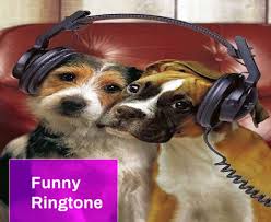 Funny Ringtone Free Mp3 Download Mingo Sounds