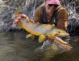 Pin By Commander Cody On Trout Life Fly Fishing Colorado Fly Fishing Flies Trout Fly Fishing Photography