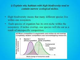 Marine Ecosystems And Biodiversity The Connection Between Environment Biodiversity And Ecological Niches Ppt Download