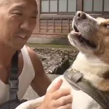 La statua di Hendrix che commuove Saltburn: il gatto che ha riunito  un'intera comunità