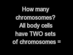 Download file pdf 14 1 human chromosomes workbook a answer key 12.18. Sex Chromosomes Powerpoint Presentations Ppt