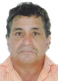 Ingresos de Otorongos Elecciones 2022