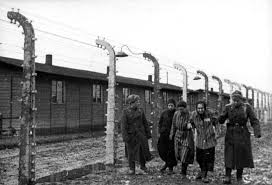 Image result for holocaust photos