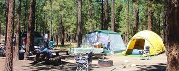 Summer Holcomb Valley Campground Campground Valley Camping