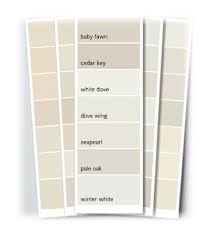 Benjamin Moore Pale Oak Color Strip Google Search Paint Colors For Home Paint Color Pallets Paint Color Inspiration