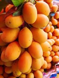 Pin On Fruits And Vegetables